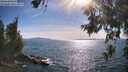 ./images/koeye/fitz-hugh/20260623/fitz-hugh20260623_173002M.jpg