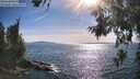 ./images/koeye/fitz-hugh/20260623/fitz-hugh20260623_173501M.jpg