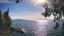 ./images/koeye/fitz-hugh/20260623/fitz-hugh20260623_174001M.jpg