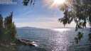 ./images/koeye/fitz-hugh/20260623/fitz-hugh20260623_174501M.jpg