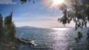 ./images/koeye/fitz-hugh/20260623/fitz-hugh20260623_175001M.jpg