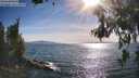 ./images/koeye/fitz-hugh/20260623/fitz-hugh20260623_175501M.jpg