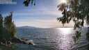 ./images/koeye/fitz-hugh/20260623/fitz-hugh20260623_182001M.jpg