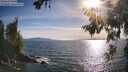 ./images/koeye/fitz-hugh/20260623/fitz-hugh20260623_183001M.jpg