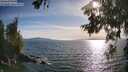 ./images/koeye/fitz-hugh/20260623/fitz-hugh20260623_183501M.jpg