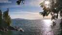 ./images/koeye/fitz-hugh/20260623/fitz-hugh20260623_184001M.jpg