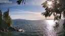./images/koeye/fitz-hugh/20260623/fitz-hugh20260623_184502M.jpg