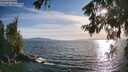 ./images/koeye/fitz-hugh/20260623/fitz-hugh20260623_191001M.jpg