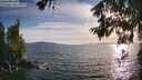 ./images/koeye/fitz-hugh/20260623/fitz-hugh20260623_192501M.jpg