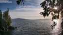 ./images/koeye/fitz-hugh/20260623/fitz-hugh20260623_194501M.jpg