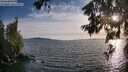 ./images/koeye/fitz-hugh/20260623/fitz-hugh20260623_195501M.jpg