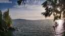 ./images/koeye/fitz-hugh/20260623/fitz-hugh20260623_200002M.jpg