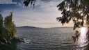 ./images/koeye/fitz-hugh/20260623/fitz-hugh20260623_201001M.jpg