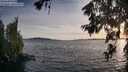 ./images/koeye/fitz-hugh/20260623/fitz-hugh20260623_202501M.jpg