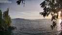 ./images/koeye/fitz-hugh/20260623/fitz-hugh20260623_203501M.jpg