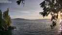 ./images/koeye/fitz-hugh/20260623/fitz-hugh20260623_204501M.jpg