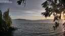 ./images/koeye/fitz-hugh/20260623/fitz-hugh20260623_205002M.jpg