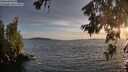 ./images/koeye/fitz-hugh/20260623/fitz-hugh20260623_205501M.jpg