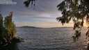 ./images/koeye/fitz-hugh/20260623/fitz-hugh20260623_210001M.jpg