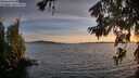 ./images/koeye/fitz-hugh/20260623/fitz-hugh20260623_212502M.jpg