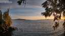 ./images/koeye/fitz-hugh/20260623/fitz-hugh20260623_213001M.jpg