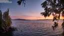 ./images/koeye/fitz-hugh/20260623/fitz-hugh20260623_220501M.jpg