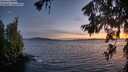 ./images/koeye/fitz-hugh/20260623/fitz-hugh20260623_222002M.jpg