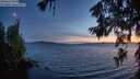 ./images/koeye/fitz-hugh/20260623/fitz-hugh20260623_223501M.jpg