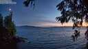 ./images/koeye/fitz-hugh/20260623/fitz-hugh20260623_224001M.jpg