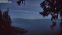 ./images/koeye/fitz-hugh/20260624/fitz-hugh20260624_042001M.jpg