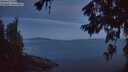 ./images/koeye/fitz-hugh/20260624/fitz-hugh20260624_042501M.jpg