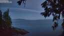 ./images/koeye/fitz-hugh/20260624/fitz-hugh20260624_043001M.jpg