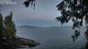 ./images/koeye/fitz-hugh/20260624/fitz-hugh20260624_045502M.jpg