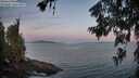 ./images/koeye/fitz-hugh/20260624/fitz-hugh20260624_051002M.jpg