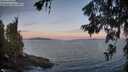 ./images/koeye/fitz-hugh/20260624/fitz-hugh20260624_052501M.jpg