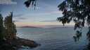 ./images/koeye/fitz-hugh/20260624/fitz-hugh20260624_053501M.jpg