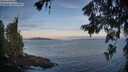 ./images/koeye/fitz-hugh/20260624/fitz-hugh20260624_054501M.jpg