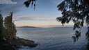 ./images/koeye/fitz-hugh/20260624/fitz-hugh20260624_055001M.jpg
