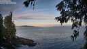./images/koeye/fitz-hugh/20260624/fitz-hugh20260624_055501M.jpg