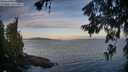 ./images/koeye/fitz-hugh/20260624/fitz-hugh20260624_060001M.jpg