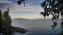 ./images/koeye/fitz-hugh/20260624/fitz-hugh20260624_060501M.jpg