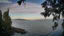 ./images/koeye/fitz-hugh/20260624/fitz-hugh20260624_061001M.jpg