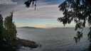 ./images/koeye/fitz-hugh/20260624/fitz-hugh20260624_061501M.jpg