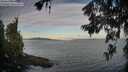 ./images/koeye/fitz-hugh/20260624/fitz-hugh20260624_062001M.jpg