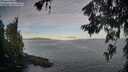 ./images/koeye/fitz-hugh/20260624/fitz-hugh20260624_064001M.jpg