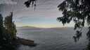 ./images/koeye/fitz-hugh/20260624/fitz-hugh20260624_064501M.jpg