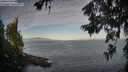 ./images/koeye/fitz-hugh/20260624/fitz-hugh20260624_065501M.jpg