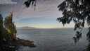 ./images/koeye/fitz-hugh/20260624/fitz-hugh20260624_070001M.jpg
