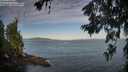 ./images/koeye/fitz-hugh/20260624/fitz-hugh20260624_071501M.jpg