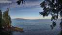 ./images/koeye/fitz-hugh/20260624/fitz-hugh20260624_072501M.jpg